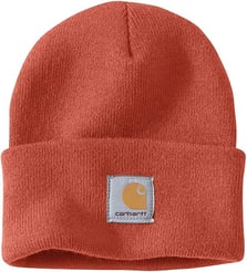 carhartt beanie